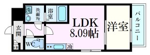 セブンプロート江波東の物件間取画像